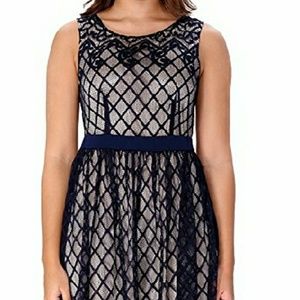 Navy and cream lace dress
